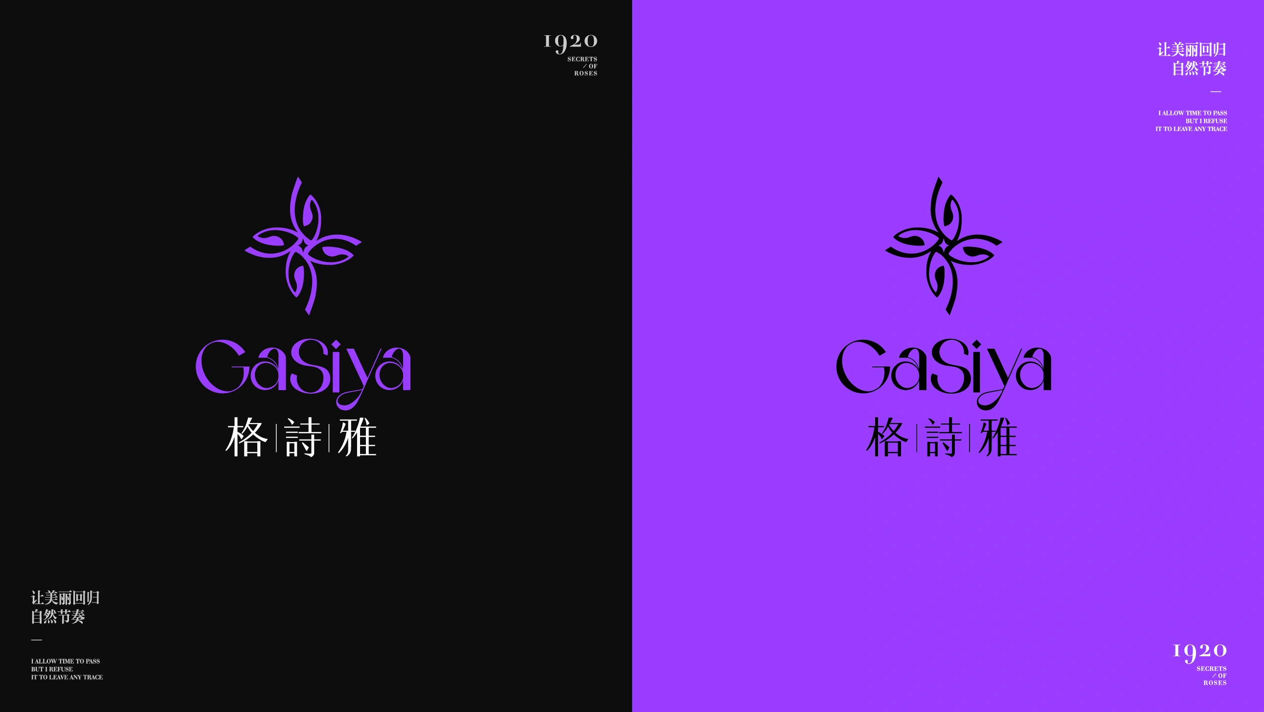 格诗雅 / GaSiya — 案例展示 08