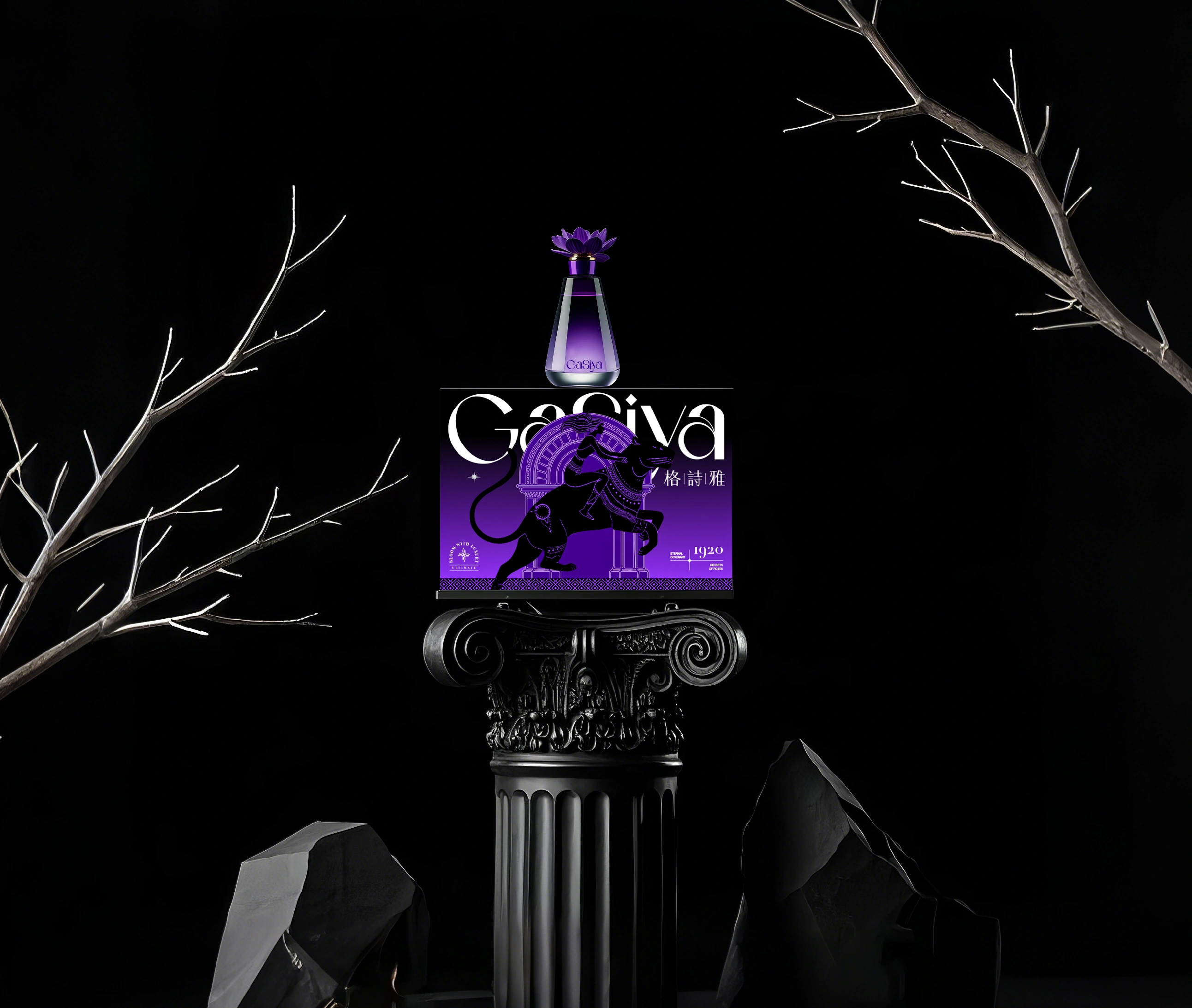 格诗雅 / GaSiya — 案例展示 14