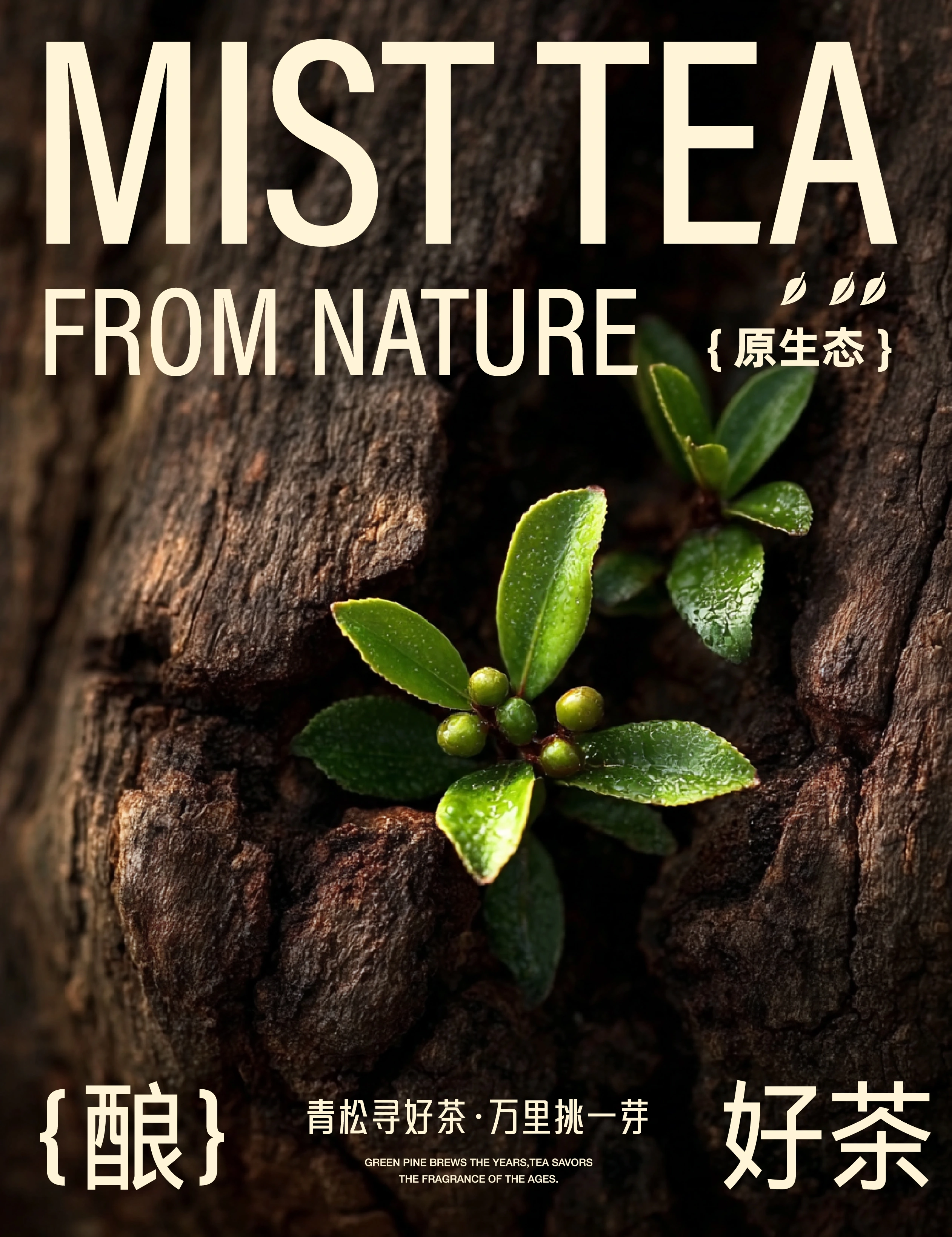 青松茶集 / MIST TEA — 案例展示 11