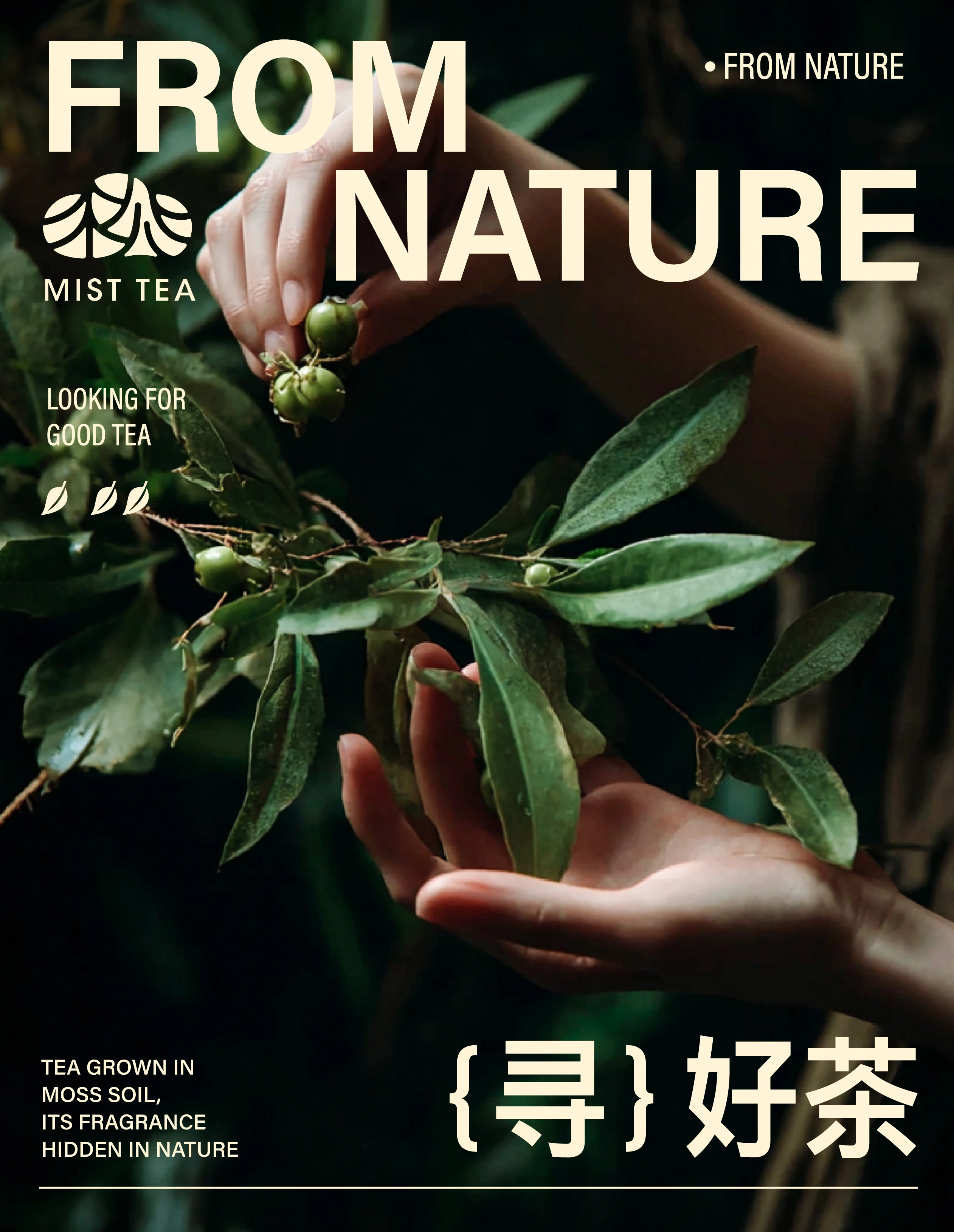 青松茶集 / MIST TEA — 案例展示 16