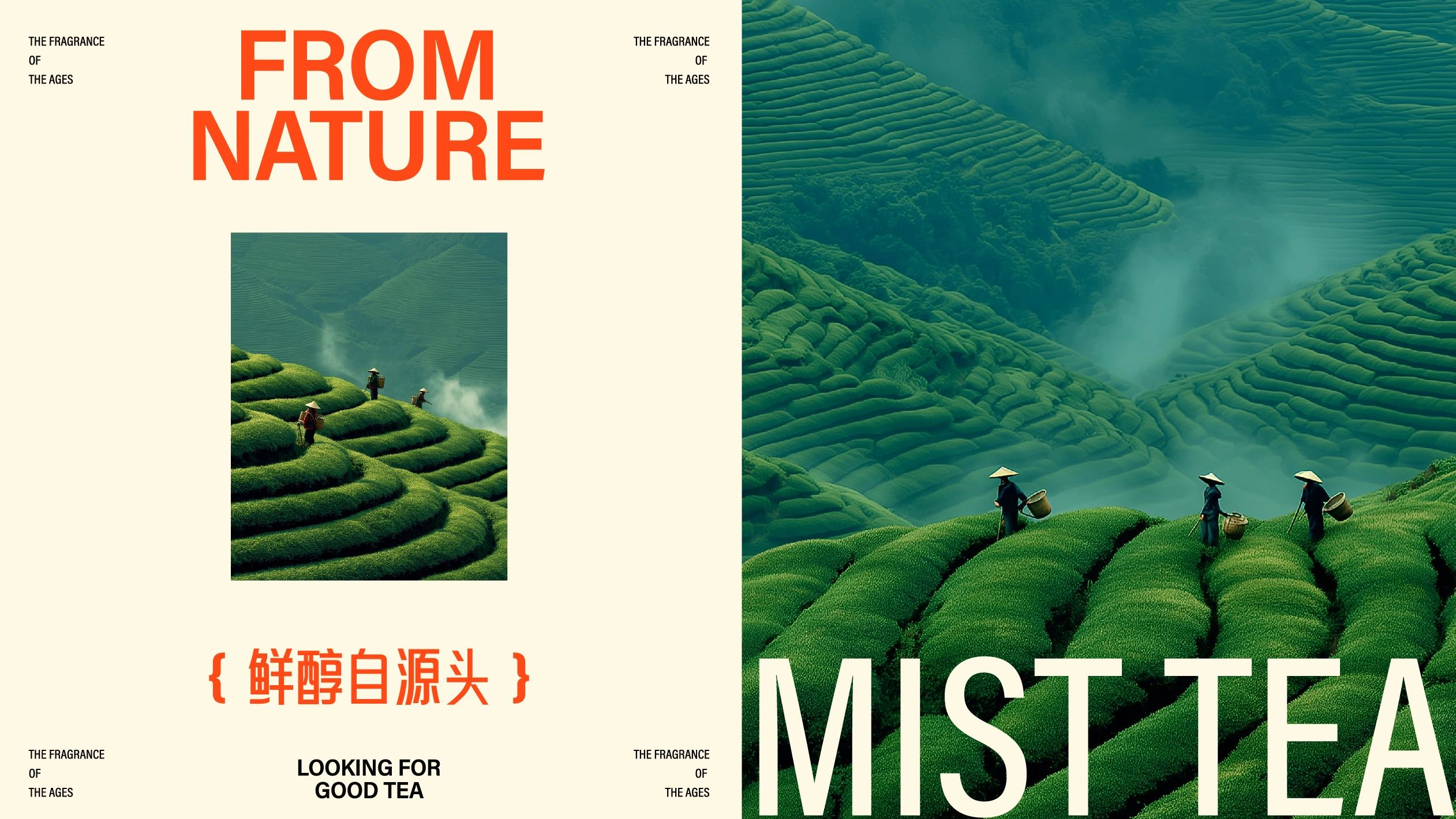 青松茶集 / MIST TEA — 案例展示 25