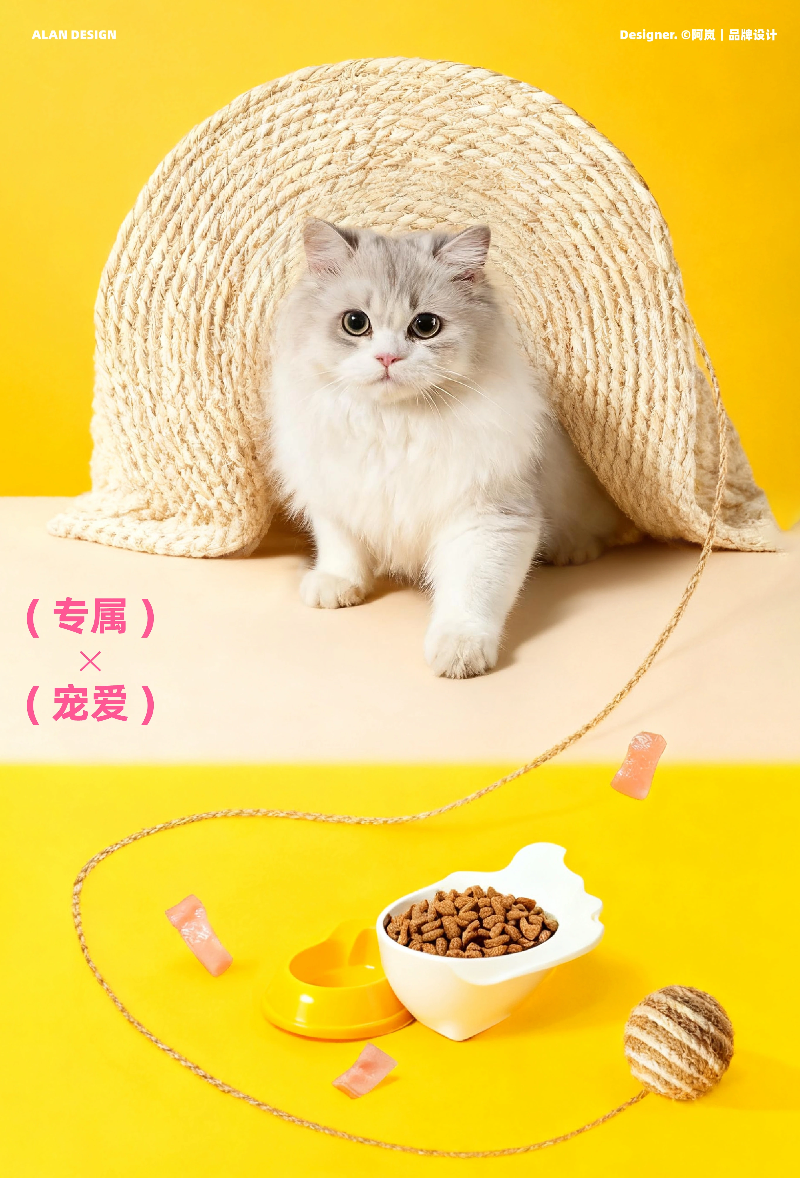 尾小宝 / VLLBO — 案例展示 12