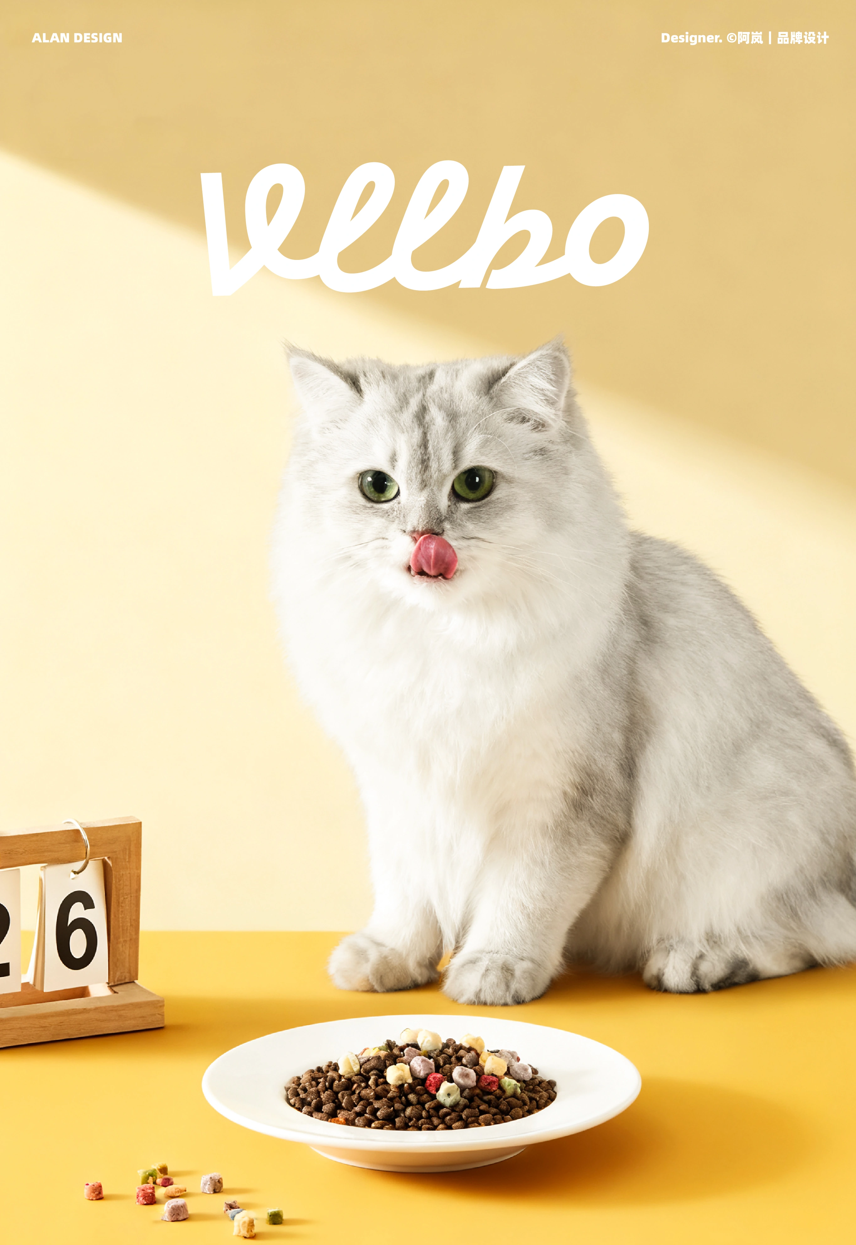 尾小宝 / VLLBO — 案例展示 20