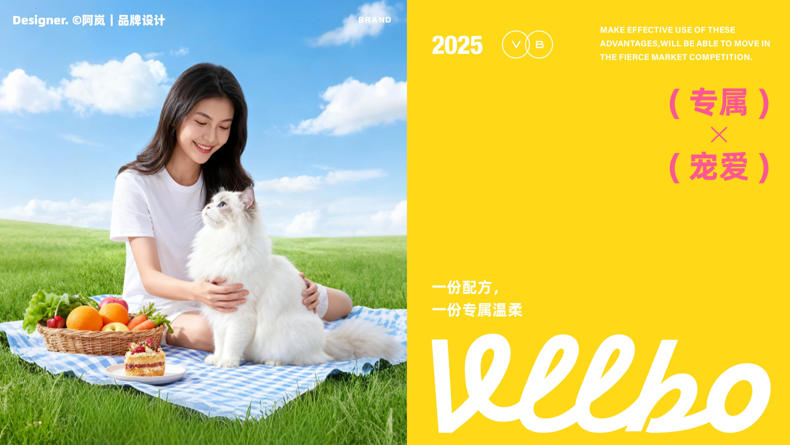 尾小宝 / VLLBO — 案例展示 29
