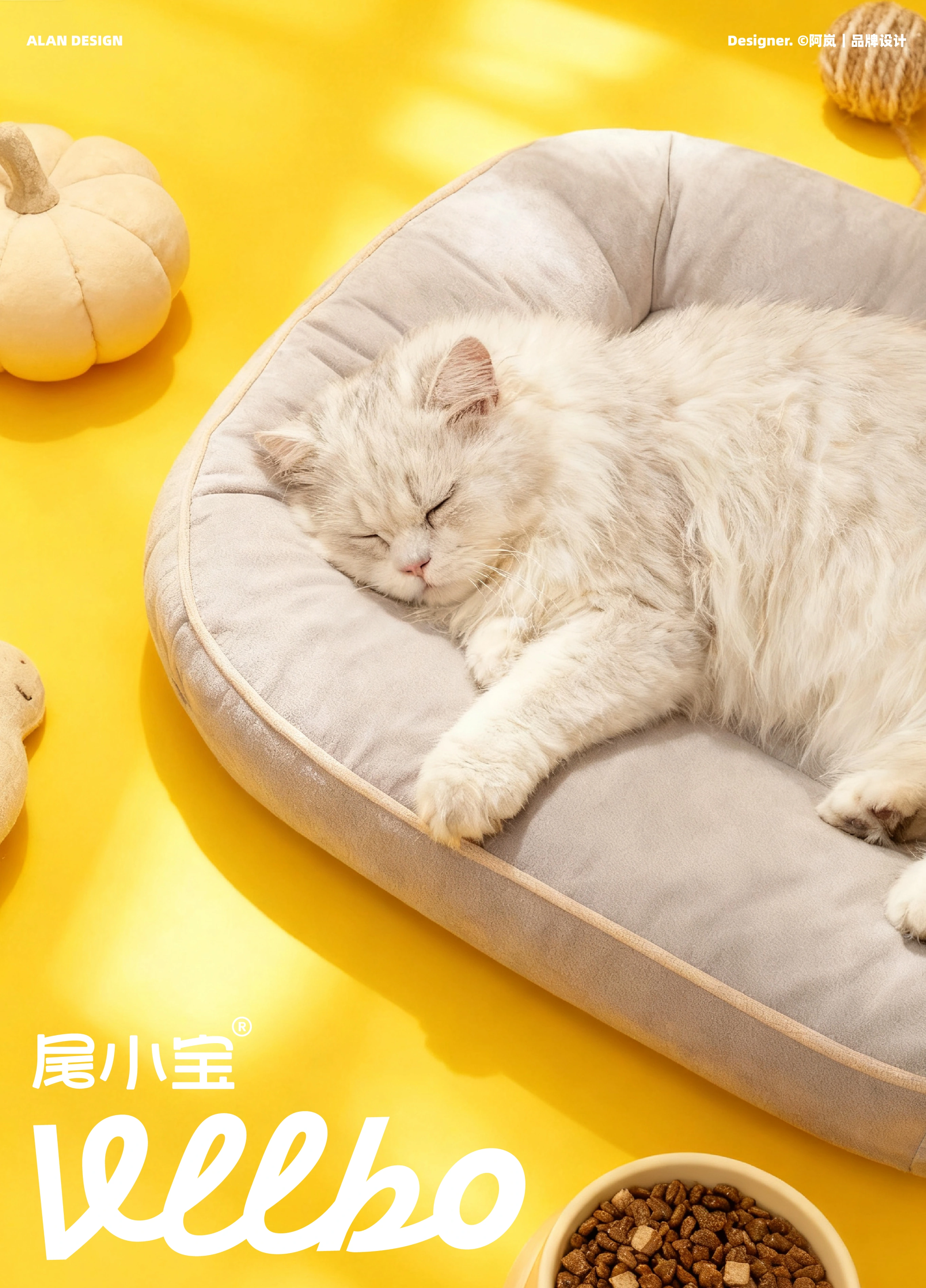 尾小宝 / VLLBO — 案例展示 30